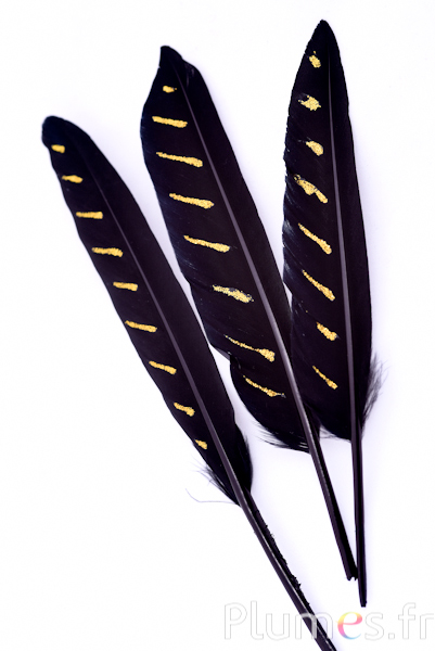 Oie Lame traits paillettes argentées- 12-15 cm - noir